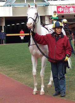 2006_0105keiba00630004.GIF