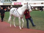2006_0105keiba00640005.GIF