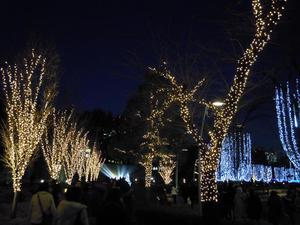 2009_1222300101.JPG