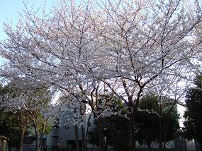 DSCF0144.JPG