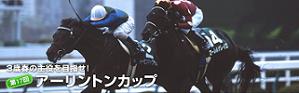 a-rintonc08yosou.JPG