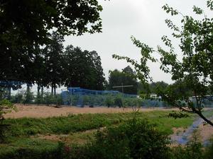 buruberi02.JPG