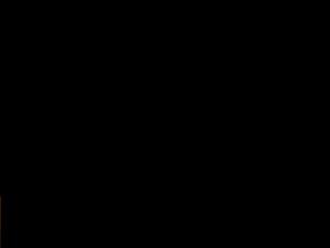 did03.JPG