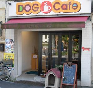 dogcafe00.JPG