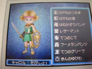 dq900.JPG