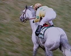 fukusimahinba07go.JPG