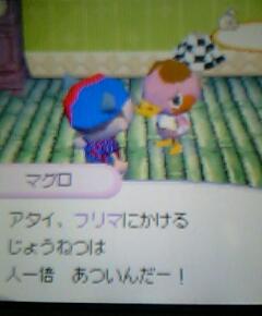 furima1.JPG