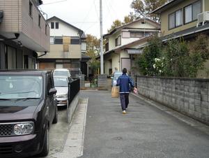 iroha2403.JPG
