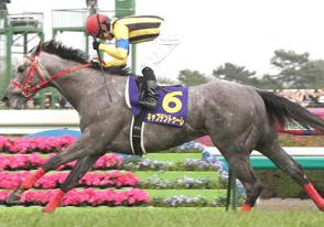 kyaputentoxu-re11.JPG