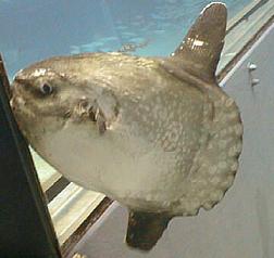 manbou5.jpg
