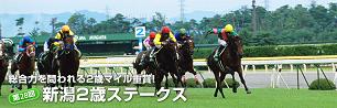 niigata2sais08.JPG