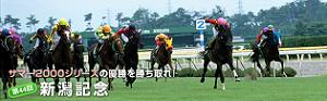 niigatakinen08.JPG