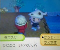 rakko1.JPG