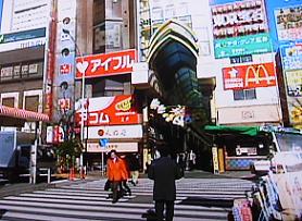 ruirui090.JPG