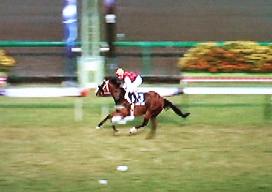supurinta-06.JPG