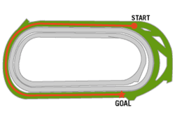 tokyo1600t.gif