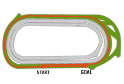 tokyo2400t.gif